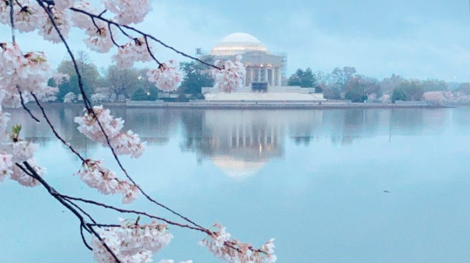Springtime Update From The District – Kabobs, West Virginia, and Bday